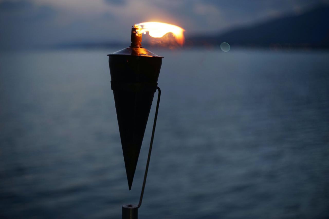 torch 0.2.0 - Initial JIT support and many bug fixes