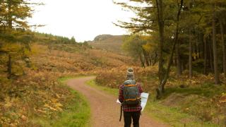 Choose your own tidymodels adventure