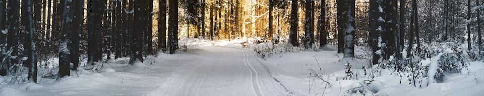 Q4 2023 tidymodels digest