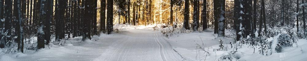 Q4 2023 tidymodels digest