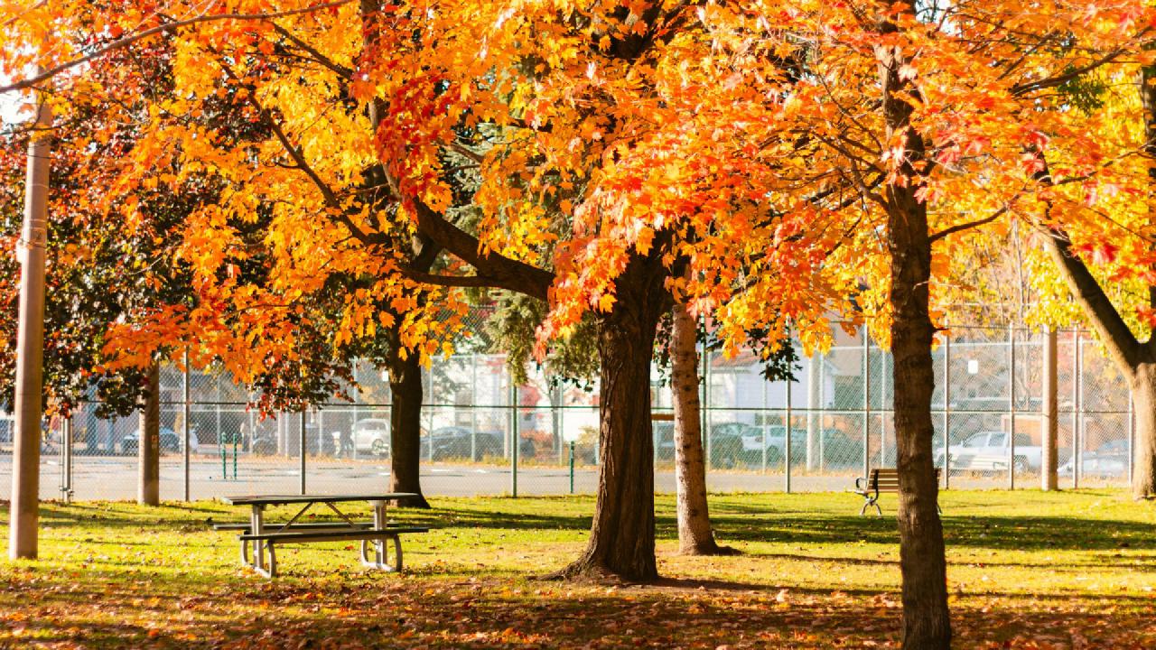 Q3 2025 tidymodels digest