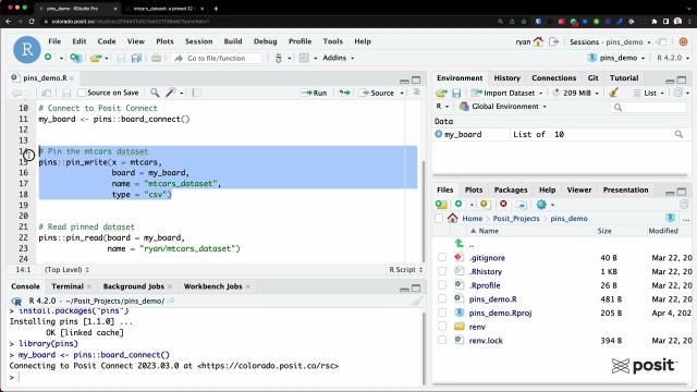 Leveraging Pins with Posit Connect