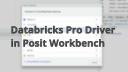 Databricks Pro Driver in Posit Workbench